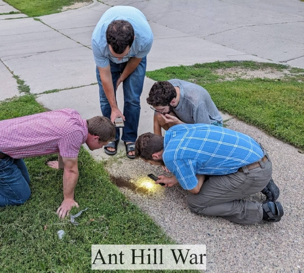 ant hill war